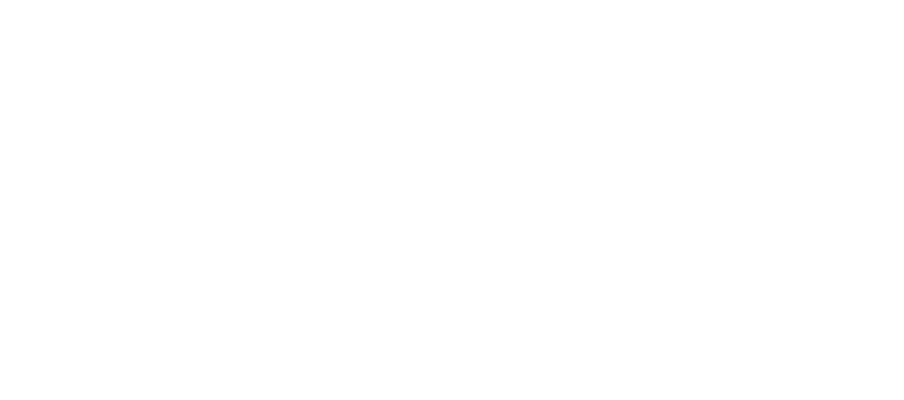 SSF do Brasil